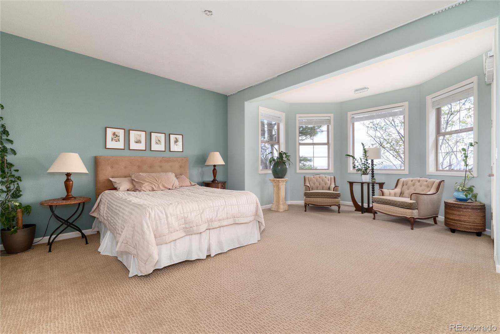 6250 Shavano Peak Way Castle Rock CO 80108