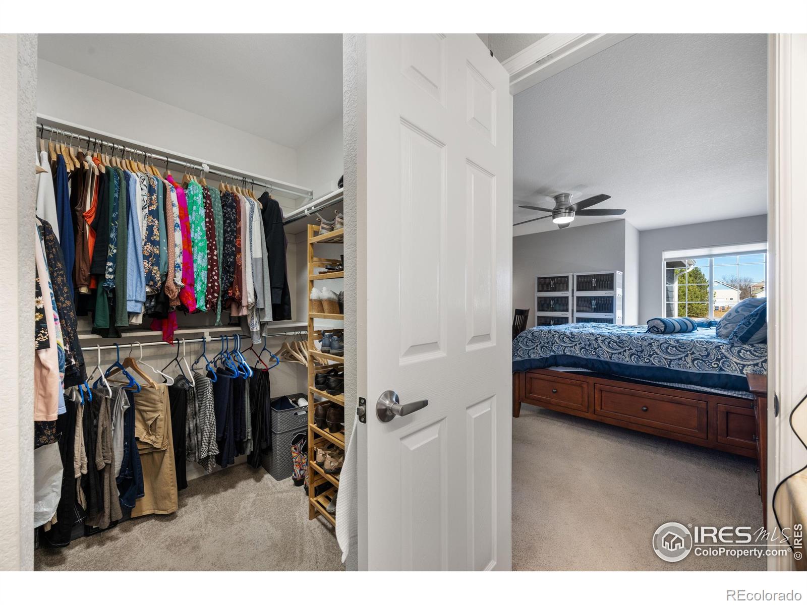 2717 Blackhawk Place Loveland CO 80538