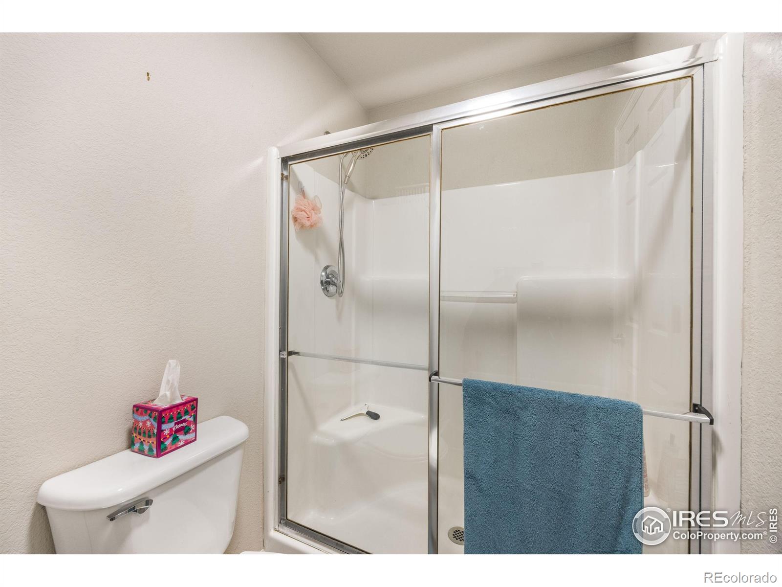 2717 Blackhawk Place Loveland CO 80538