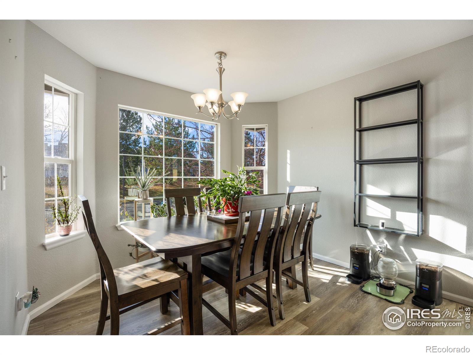2717 Blackhawk Place Loveland CO 80538
