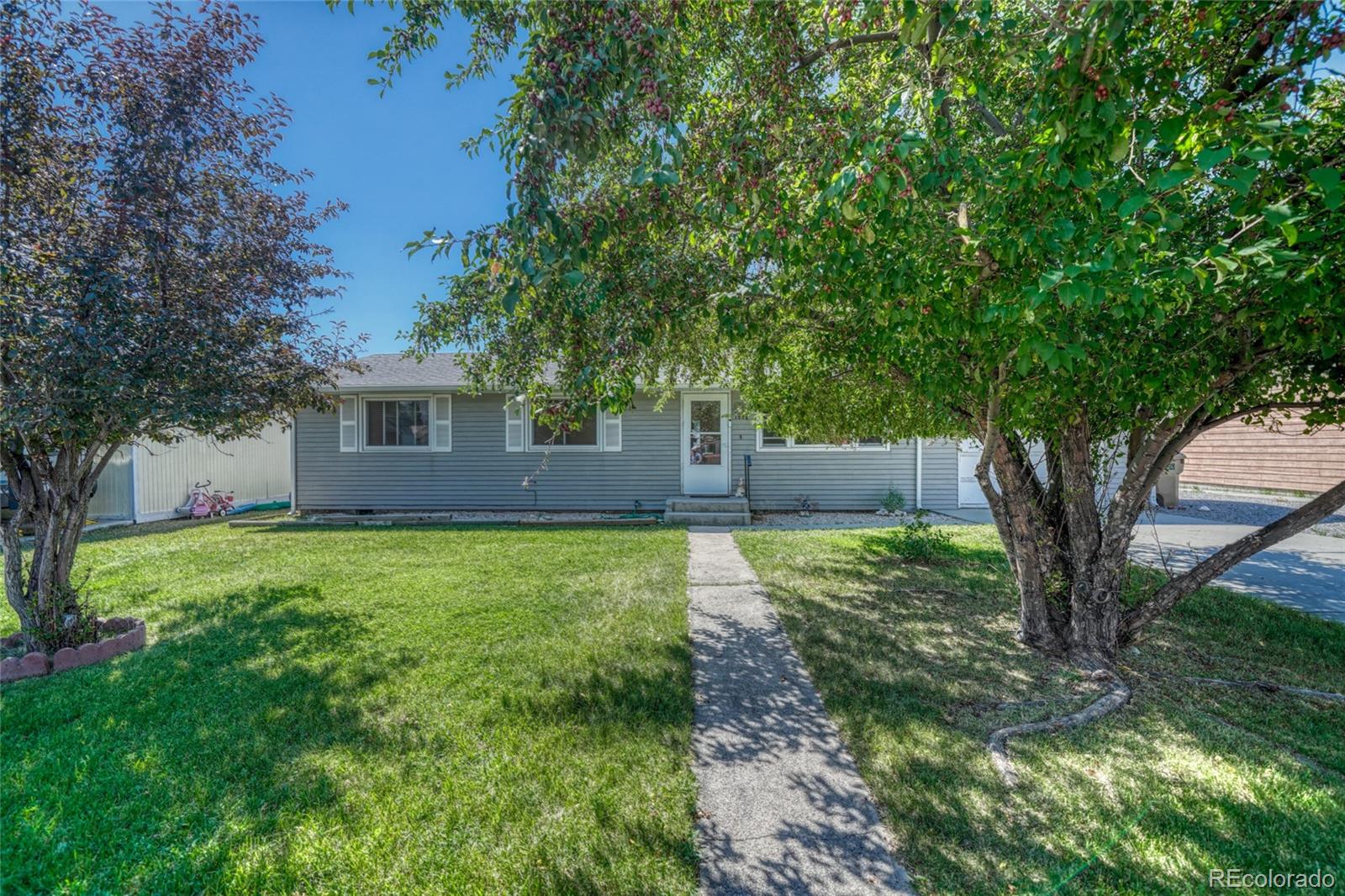 102 Baylor Drive Buena Vista CO 81211