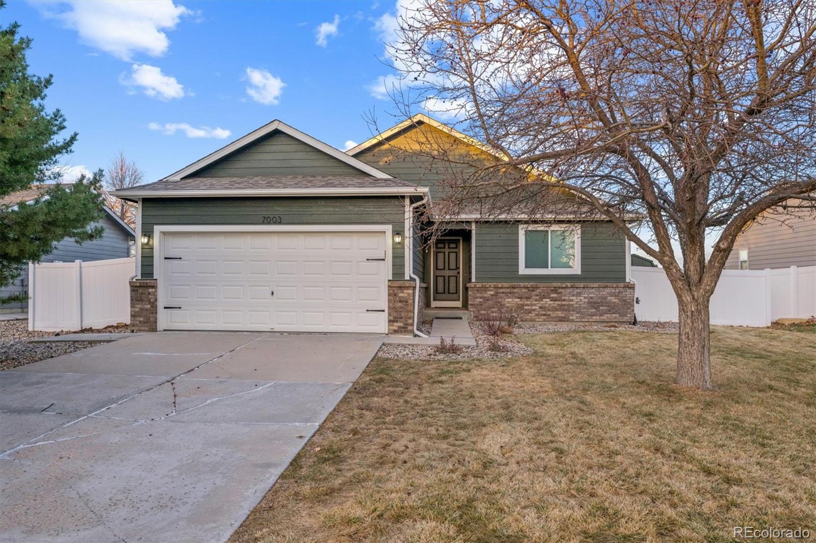 7003 Mount Nimbus Street Wellington CO 80549