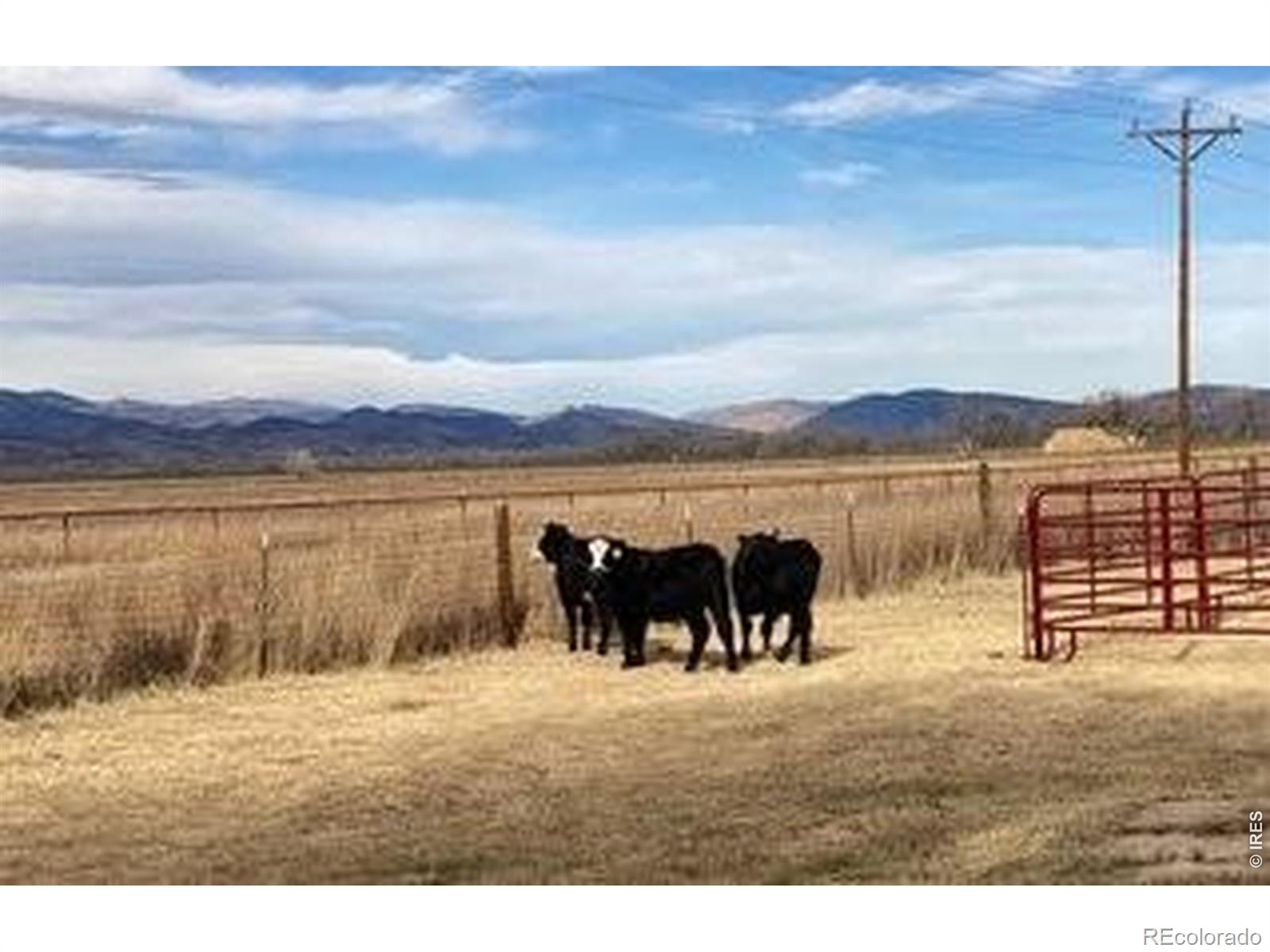 14798 N 115th Street Longmont CO 80504