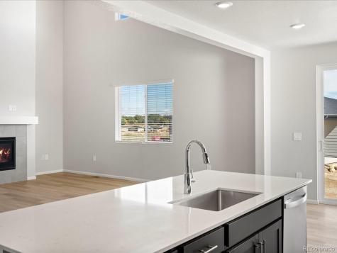 1637 Yampa River Drive Windsor CO 80550