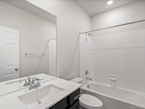 1637 Yampa River Drive Windsor CO 80550