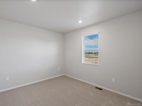 1637 Yampa River Drive Windsor CO 80550