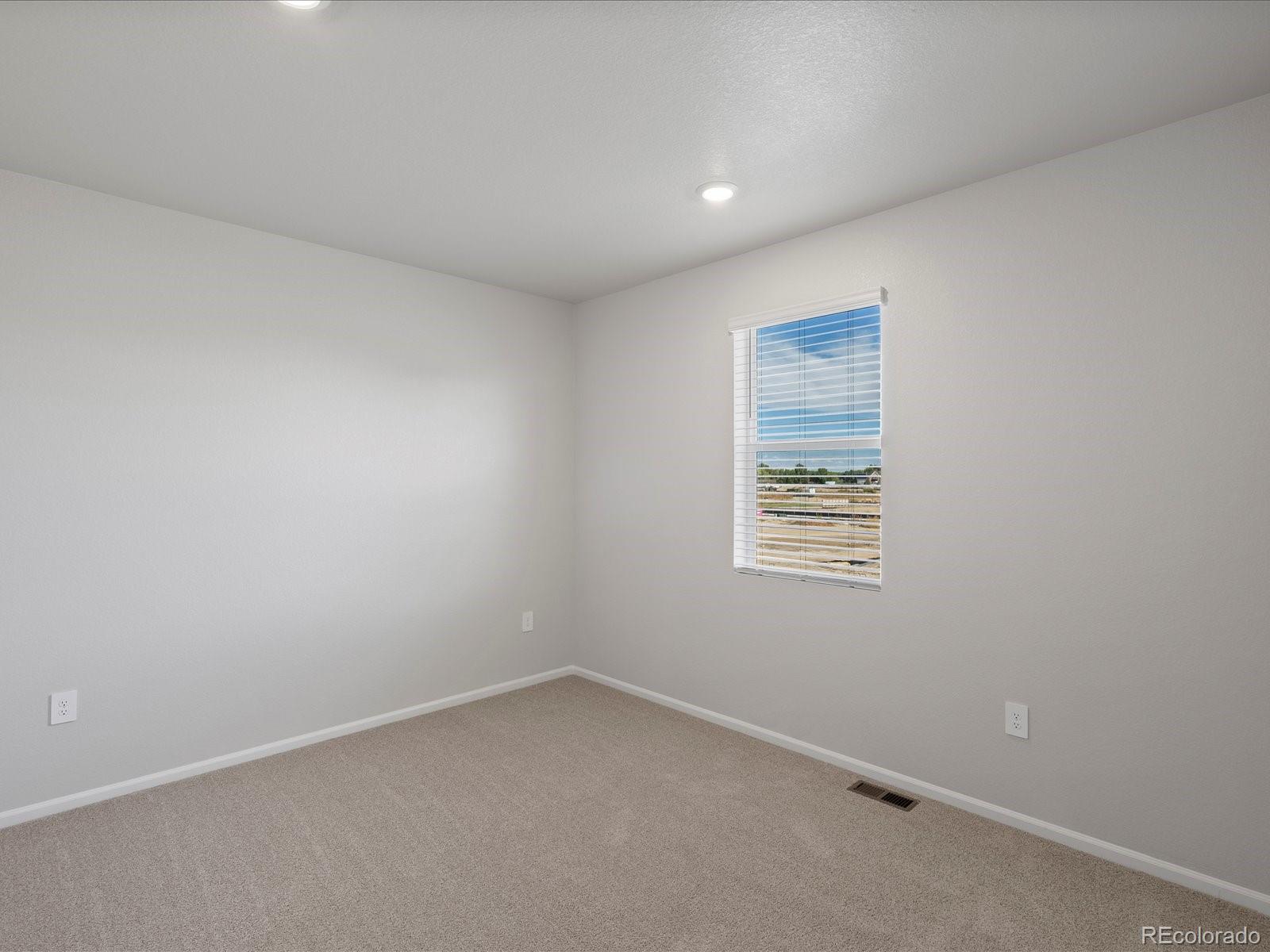 1637 Yampa River Drive Windsor CO 80550