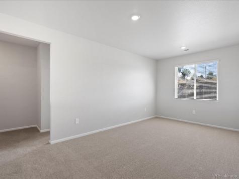 1637 Yampa River Drive Windsor CO 80550