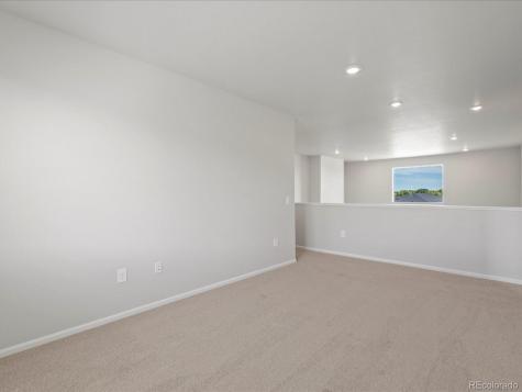 1637 Yampa River Drive Windsor CO 80550