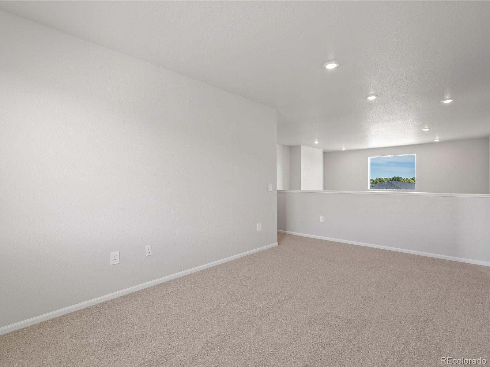 1637 Yampa River Drive Windsor CO 80550