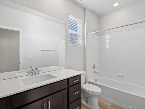 1637 Yampa River Drive Windsor CO 80550