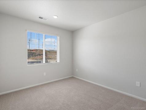 1637 Yampa River Drive Windsor CO 80550