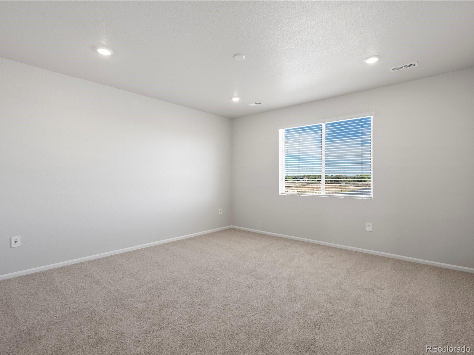 1637 Yampa River Drive Windsor CO 80550