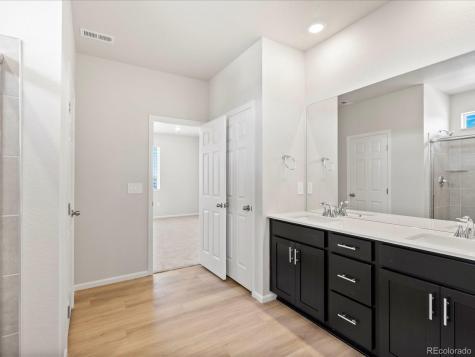 1637 Yampa River Drive Windsor CO 80550