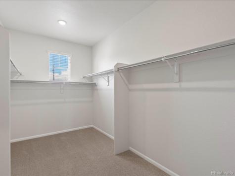 1637 Yampa River Drive Windsor CO 80550