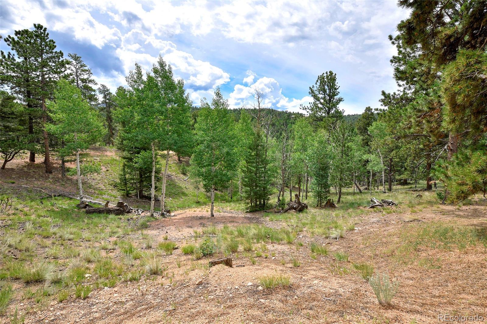 549 Mohawk Heights Florissant CO 80816