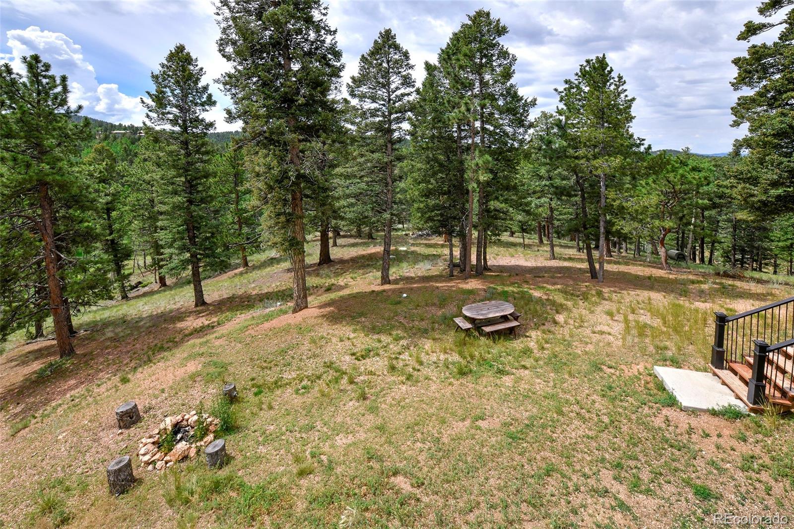 549 Mohawk Heights Florissant CO 80816