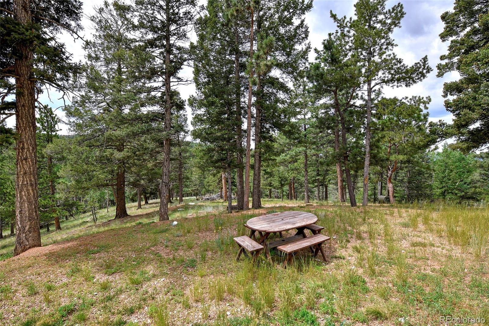549 Mohawk Heights Florissant CO 80816