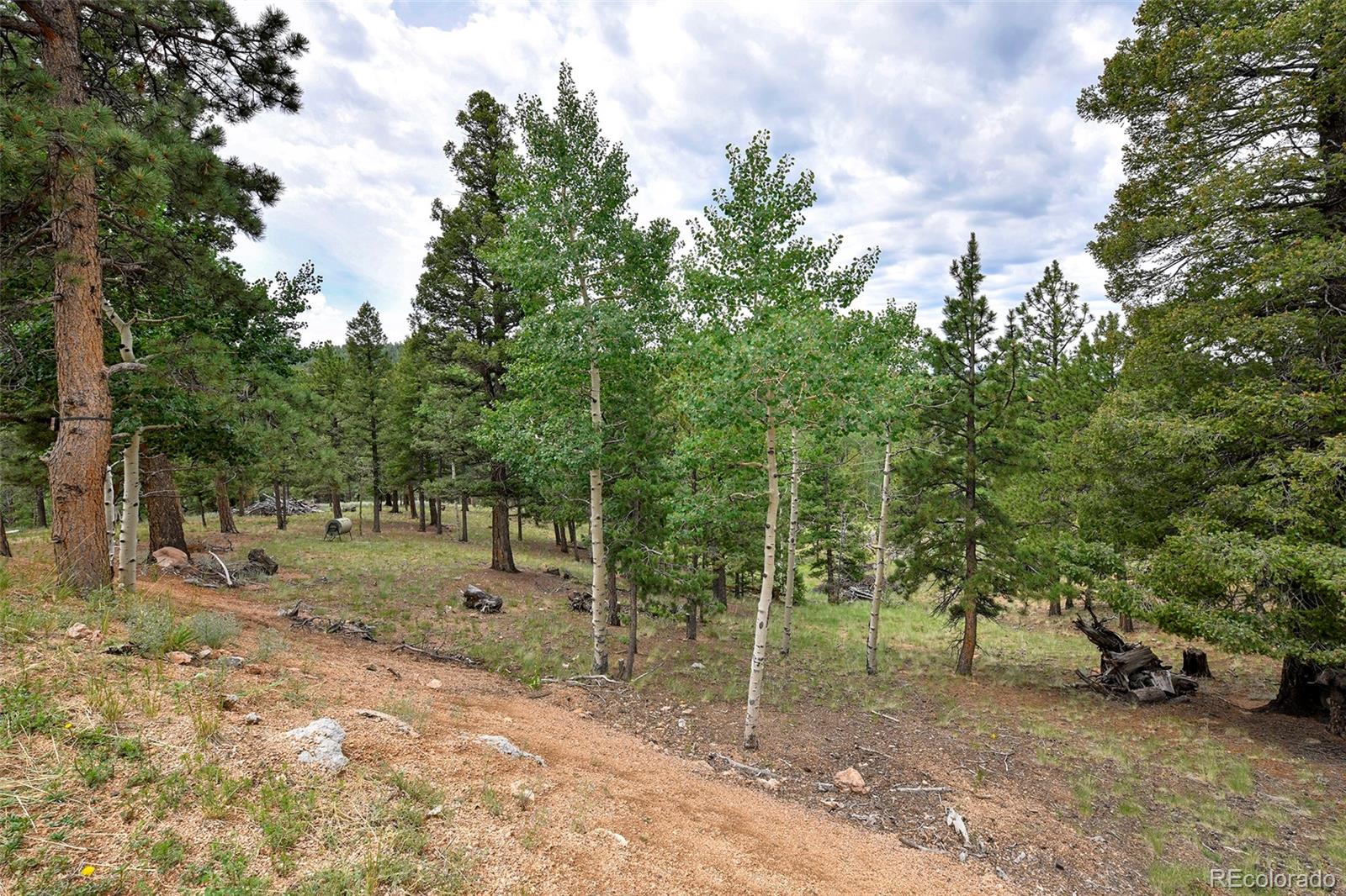 549 Mohawk Heights Florissant CO 80816