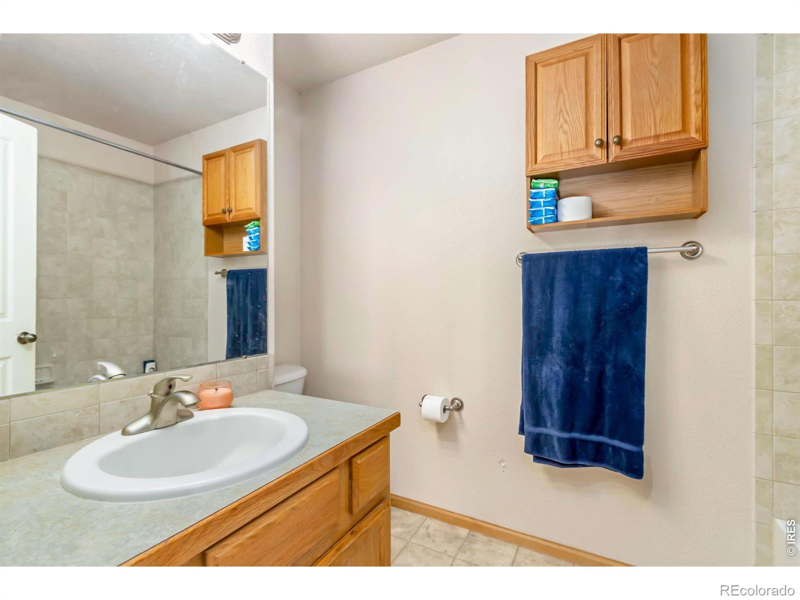 3211 White Buffalo Drive Wellington CO 80549