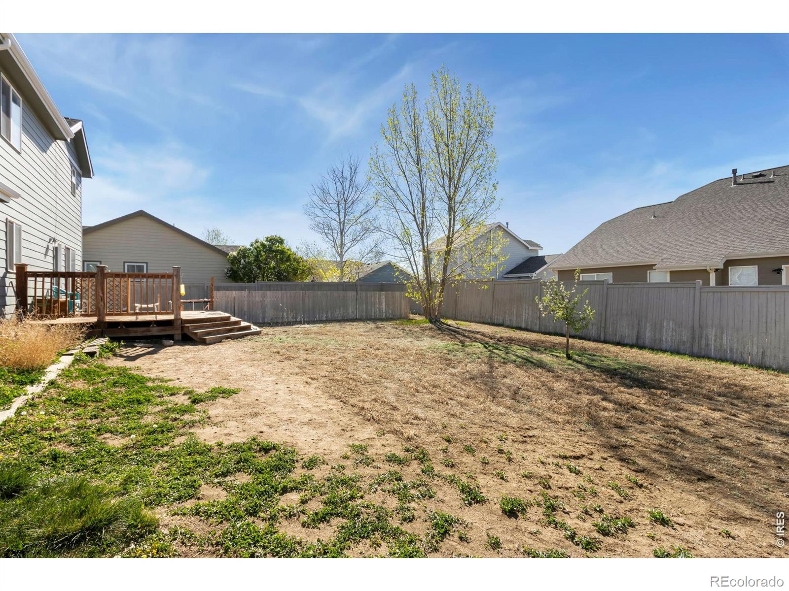3211 White Buffalo Drive Wellington CO 80549