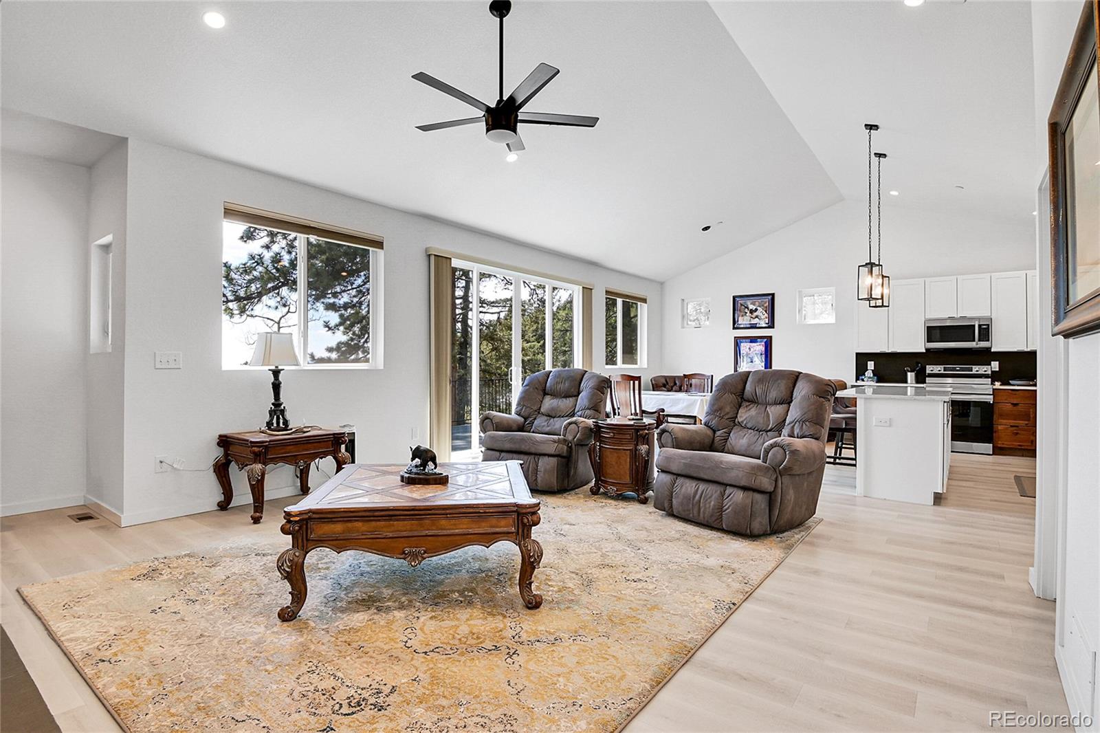 191 Diamond Drive Pine CO 80470