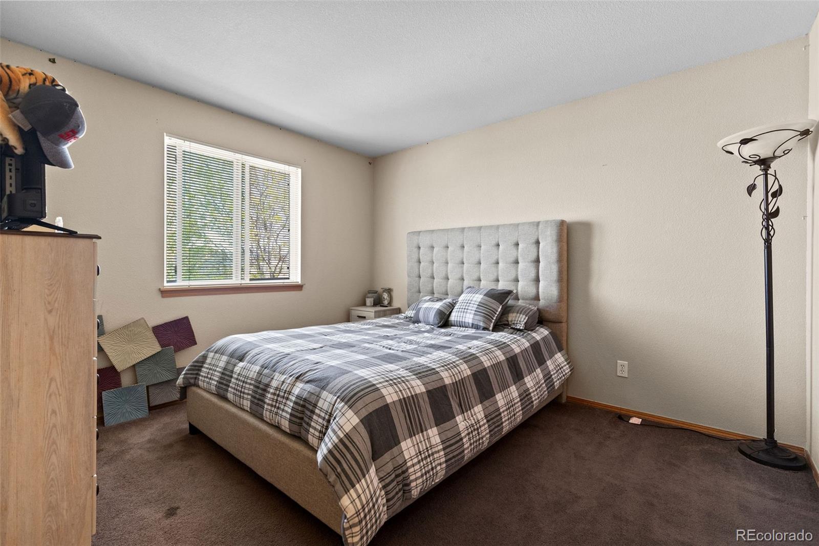 6291 Snowberry Avenue Firestone CO 80504