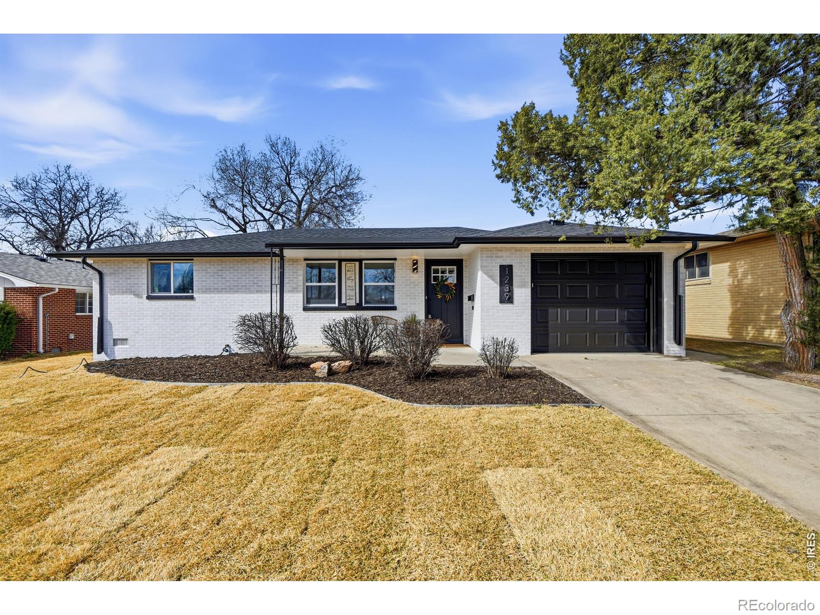 1239 Sunset Street Longmont CO 80501