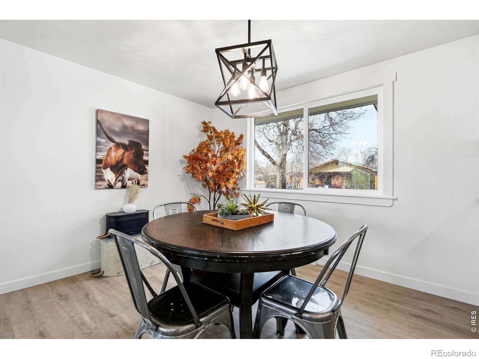 1239 Sunset Street Longmont CO 80501