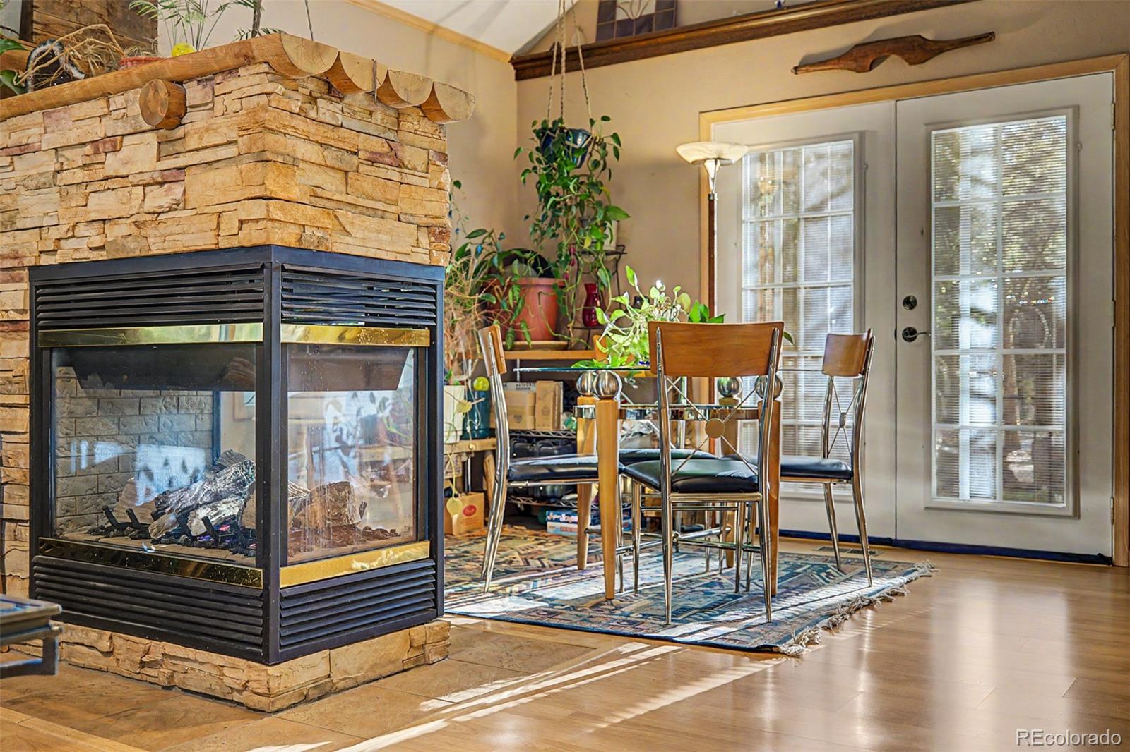 55 Rafferty Drive Leadville CO 80461