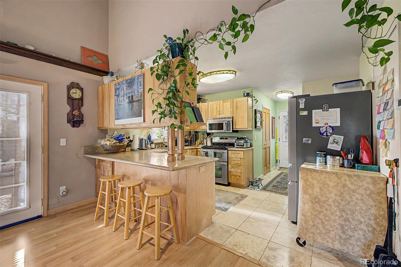 55 Rafferty Drive Leadville CO 80461