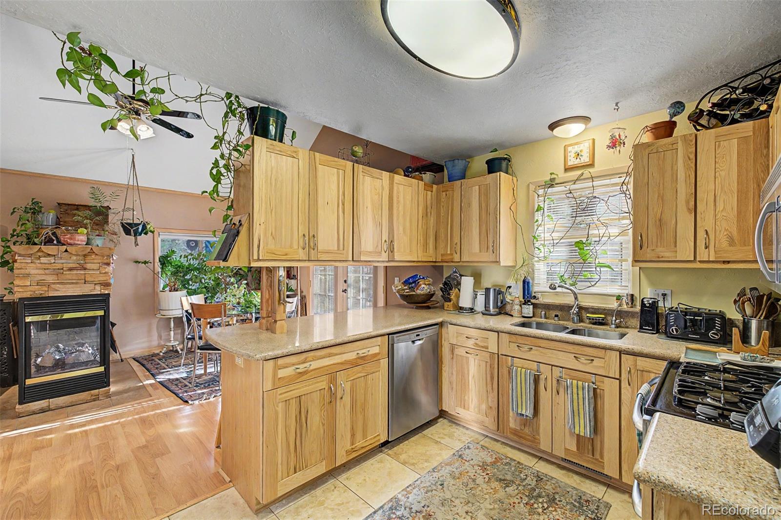 55 Rafferty Drive Leadville CO 80461