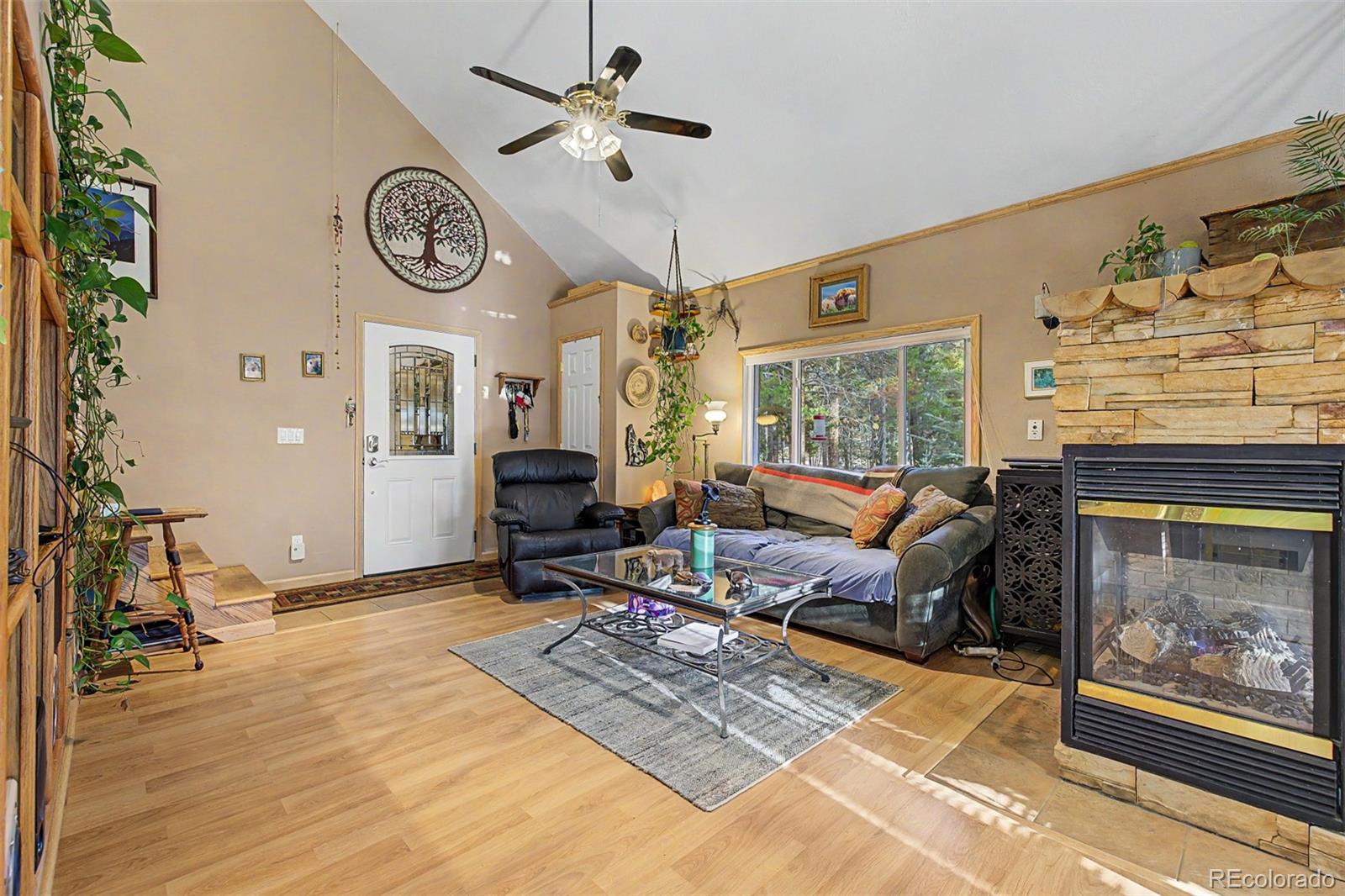 55 Rafferty Drive Leadville CO 80461