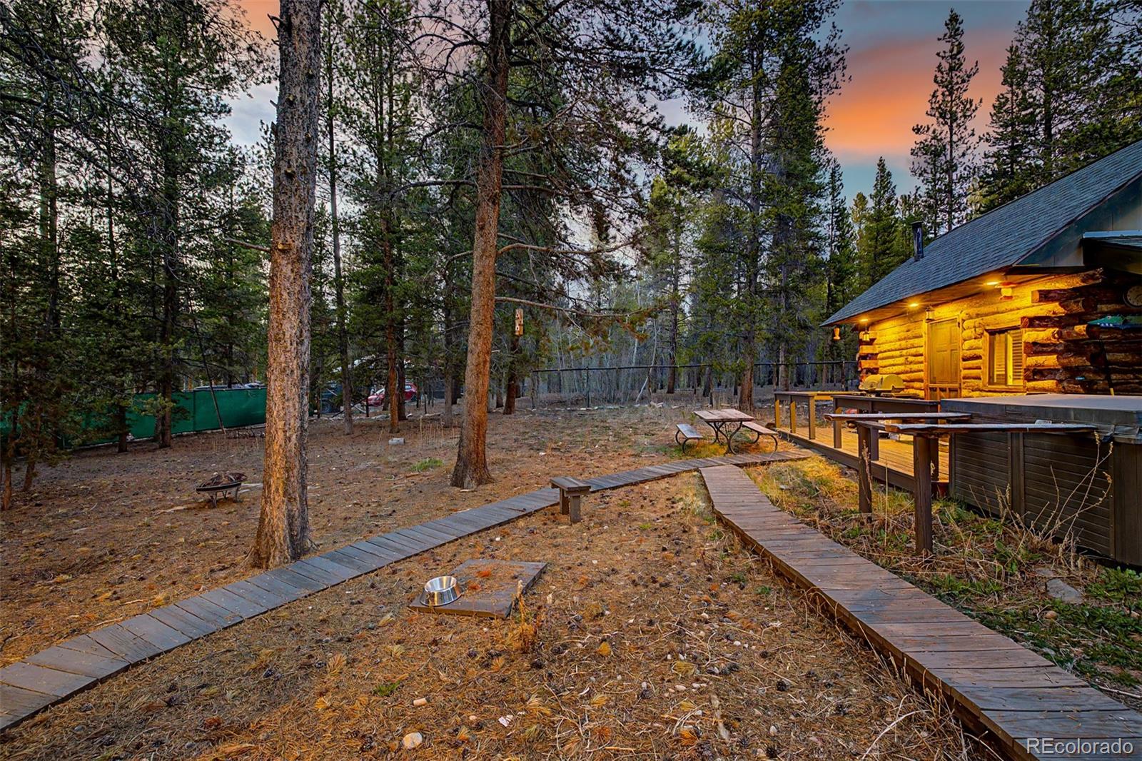 55 Rafferty Drive Leadville CO 80461