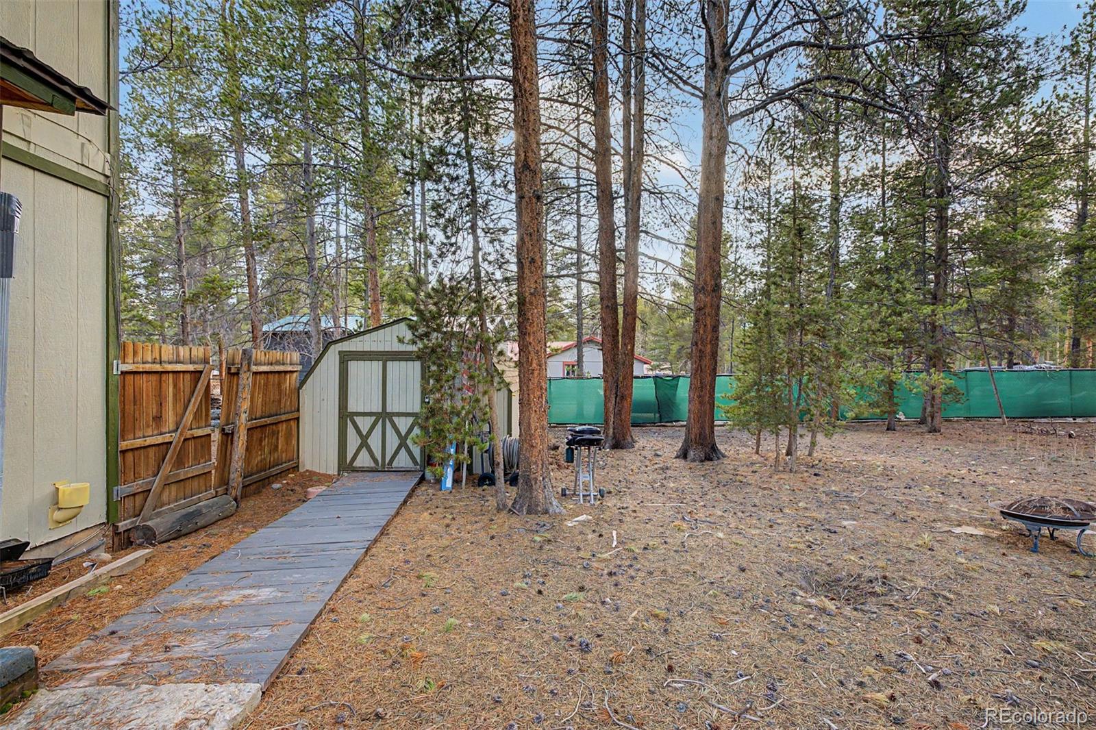 55 Rafferty Drive Leadville CO 80461