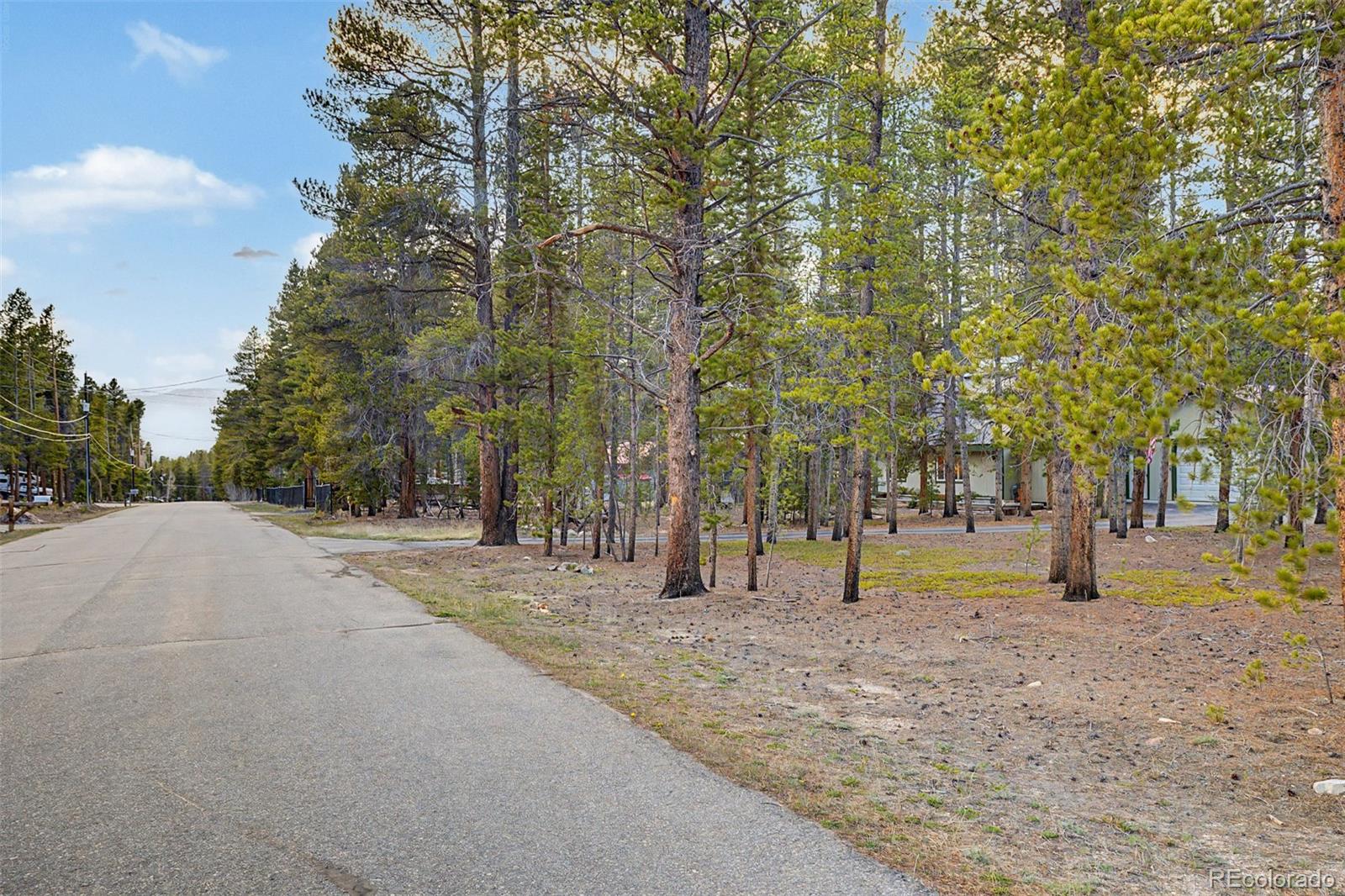 55 Rafferty Drive Leadville CO 80461