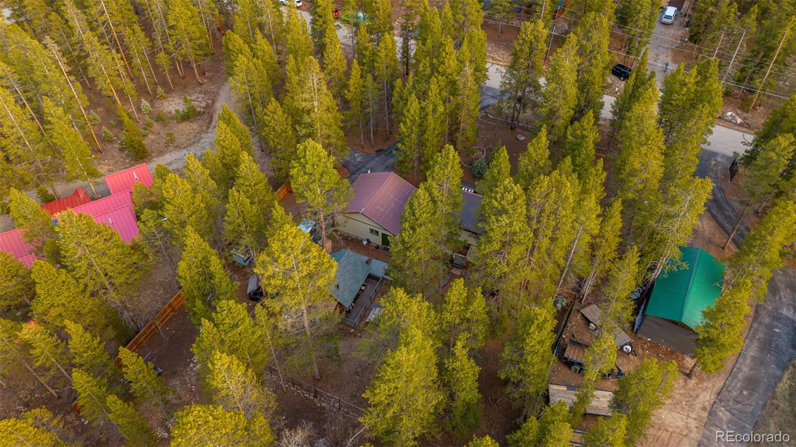 55 Rafferty Drive Leadville CO 80461
