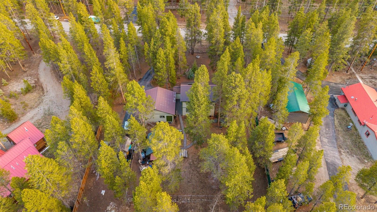 55 Rafferty Drive Leadville CO 80461