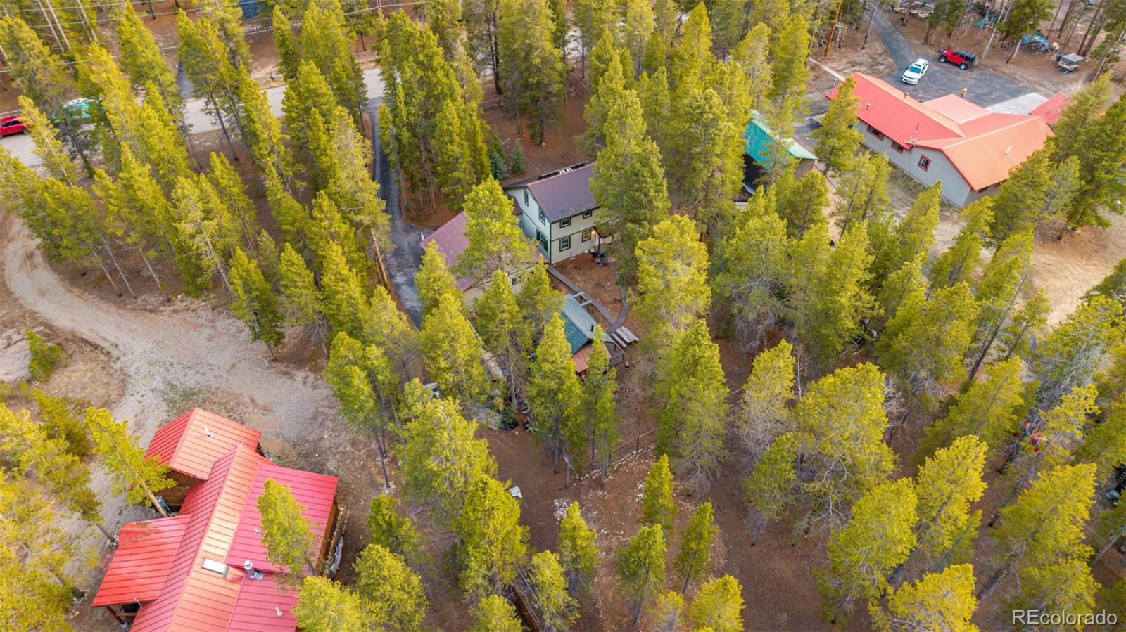 55 Rafferty Drive Leadville CO 80461