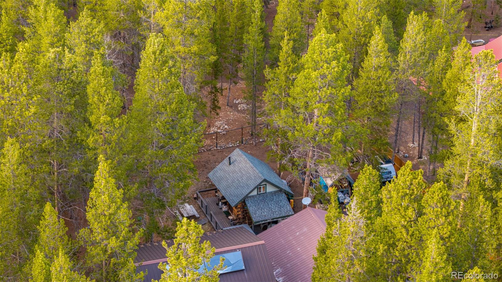 55 Rafferty Drive Leadville CO 80461