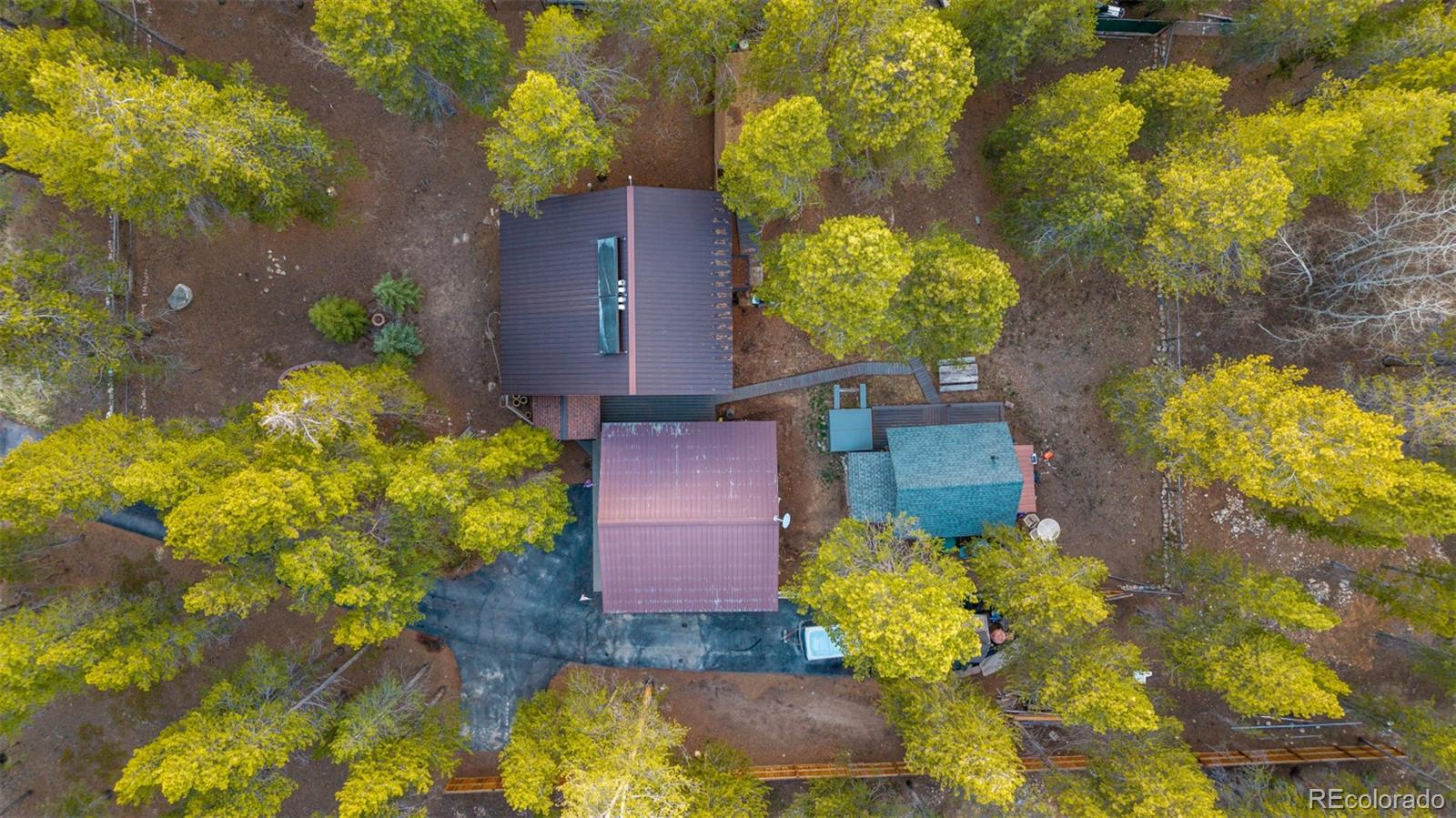 55 Rafferty Drive Leadville CO 80461