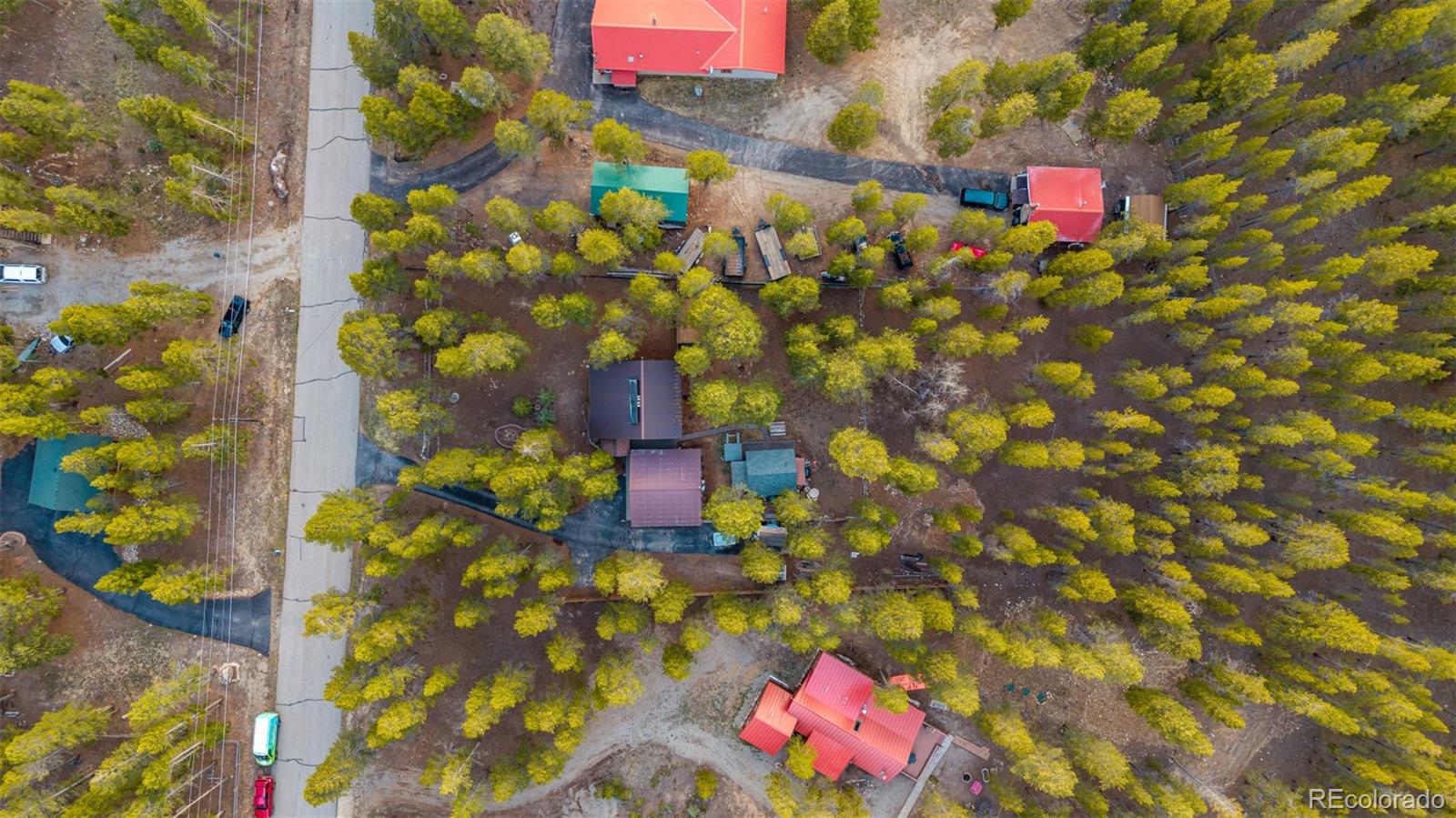 55 Rafferty Drive Leadville CO 80461