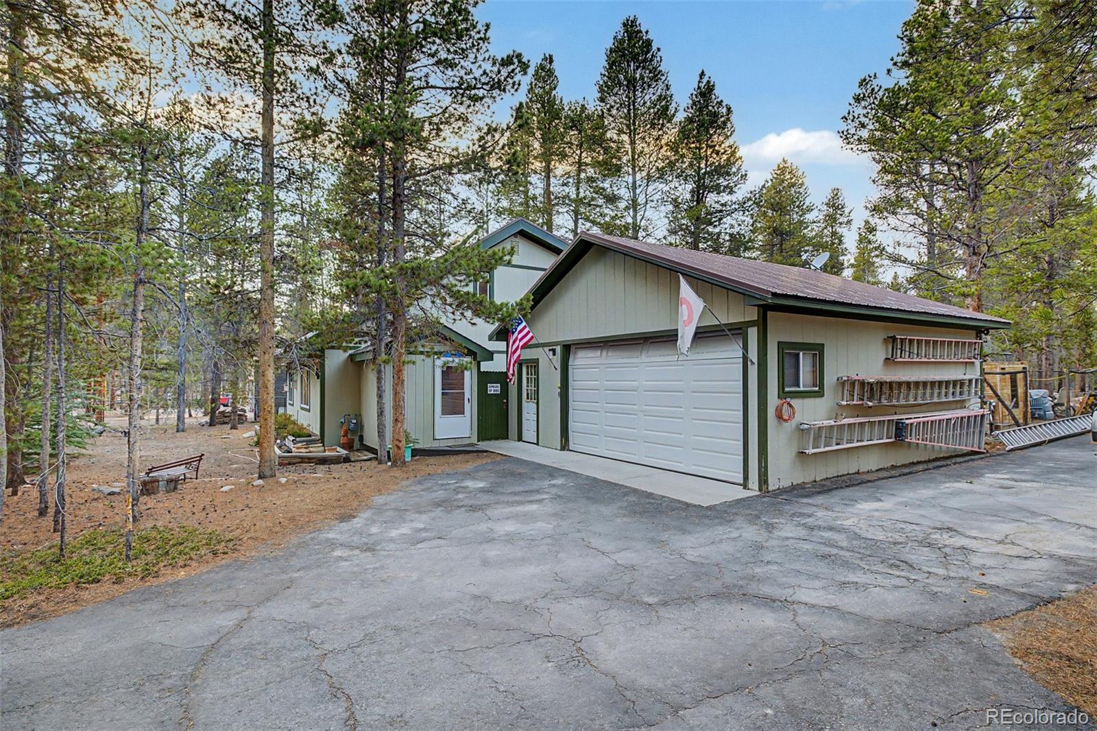 55 Rafferty Drive Leadville CO 80461