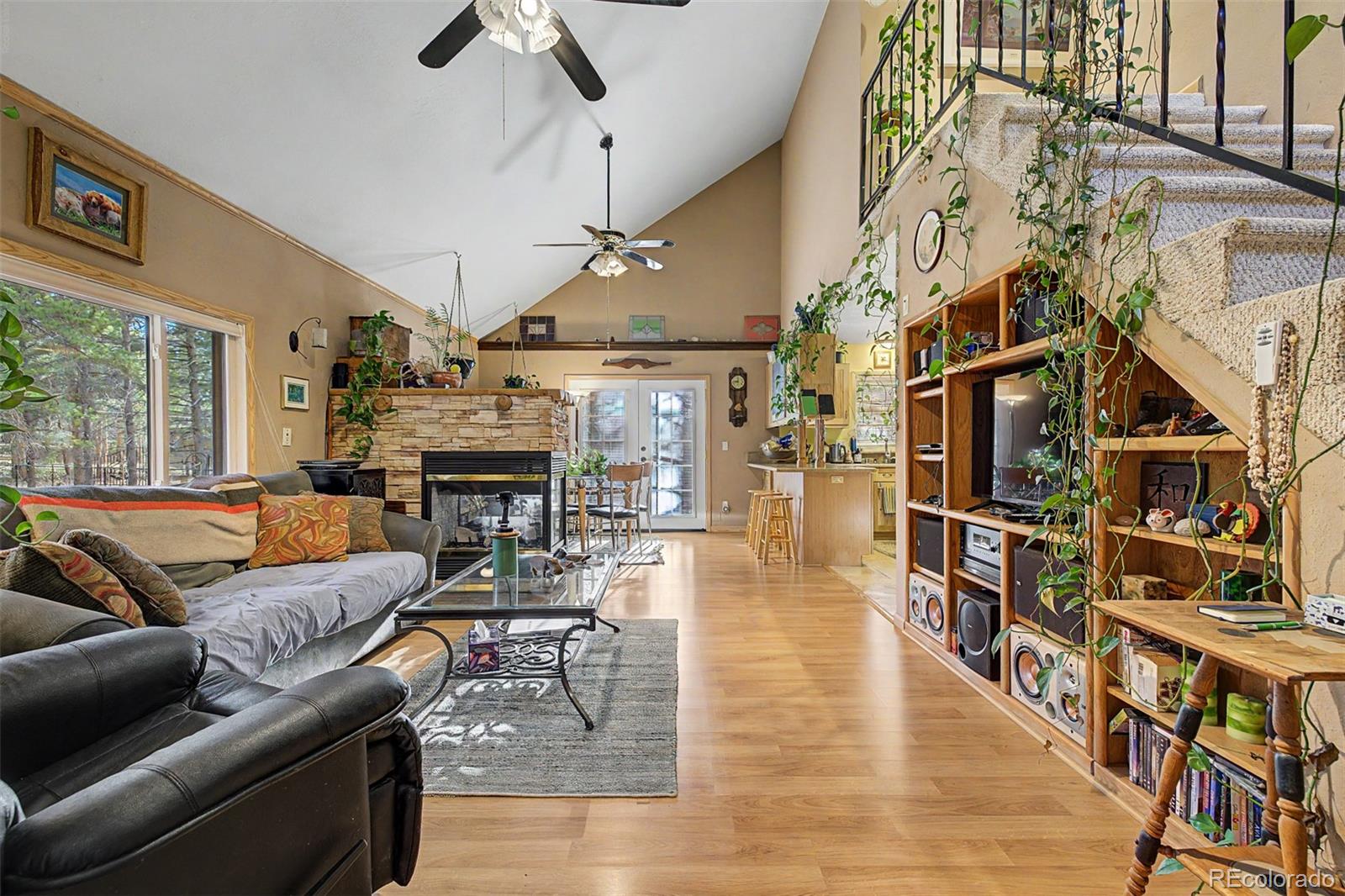 55 Rafferty Drive Leadville CO 80461