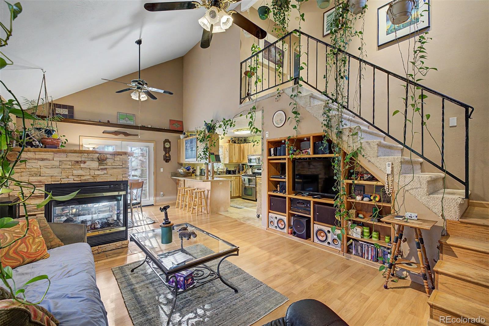 55 Rafferty Drive Leadville CO 80461