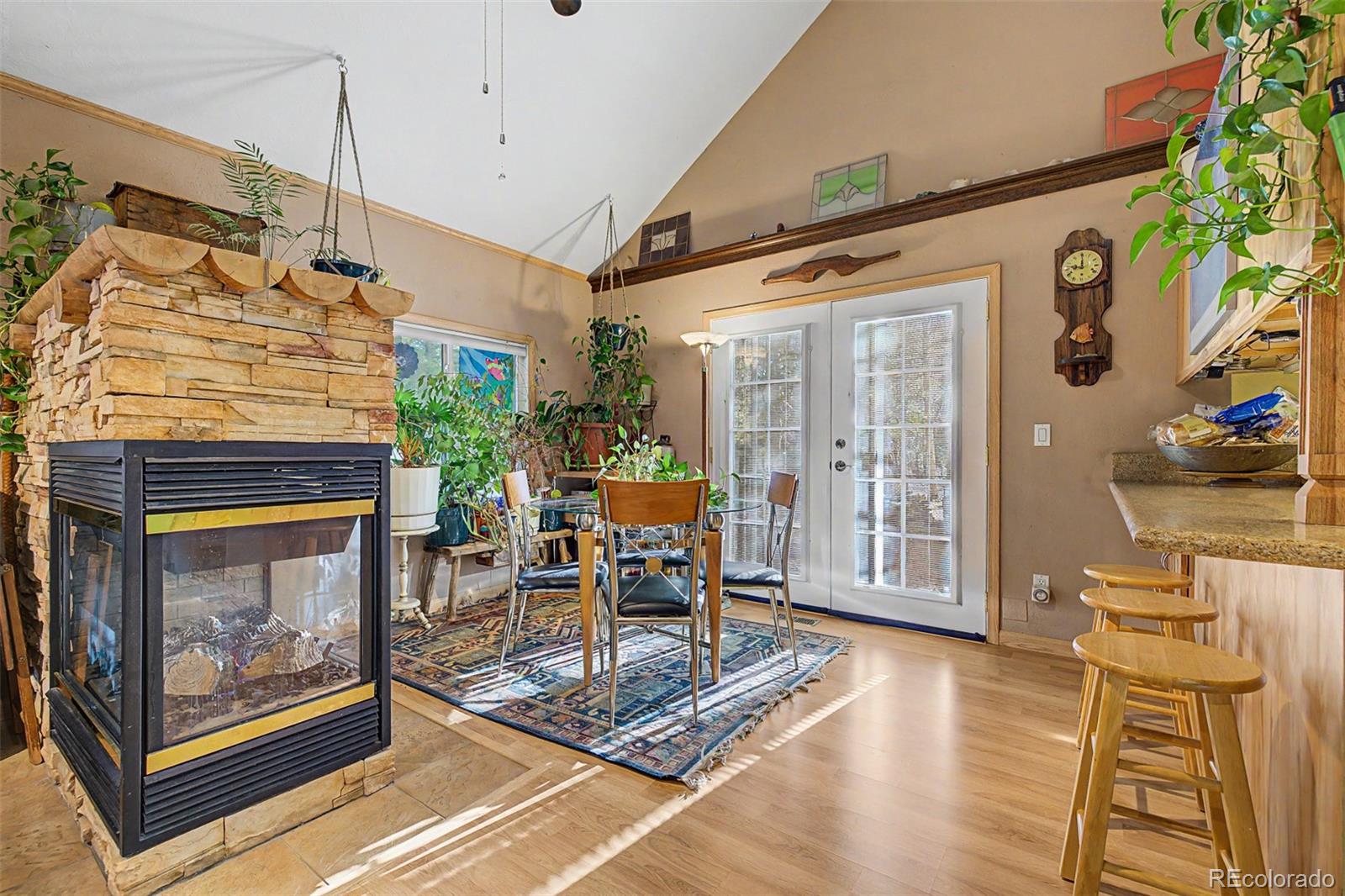 55 Rafferty Drive Leadville CO 80461