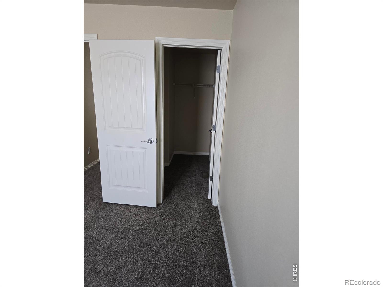 959 Antila Avenue Loveland CO 80537