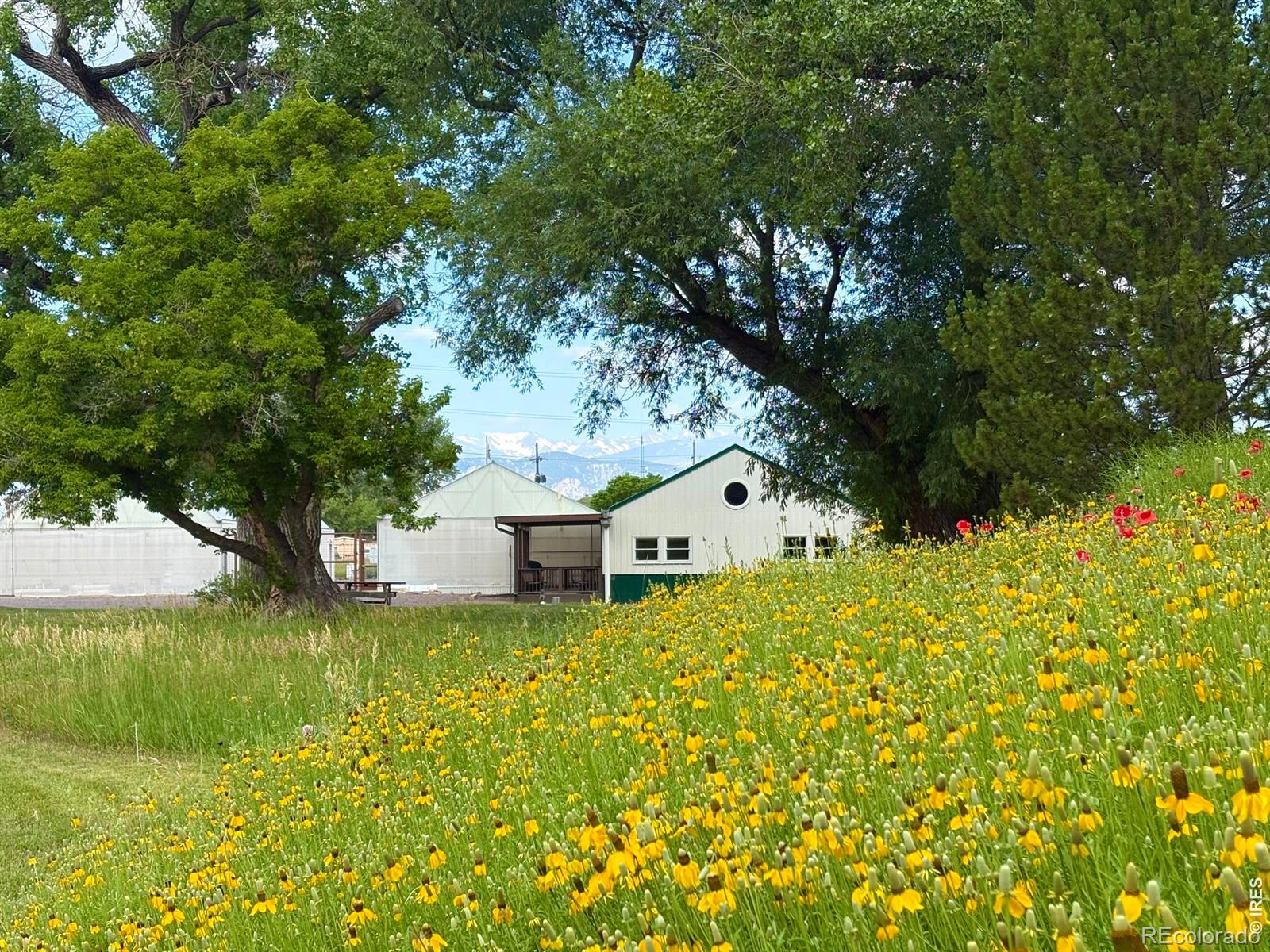3705 N 75th Street Boulder CO 80301