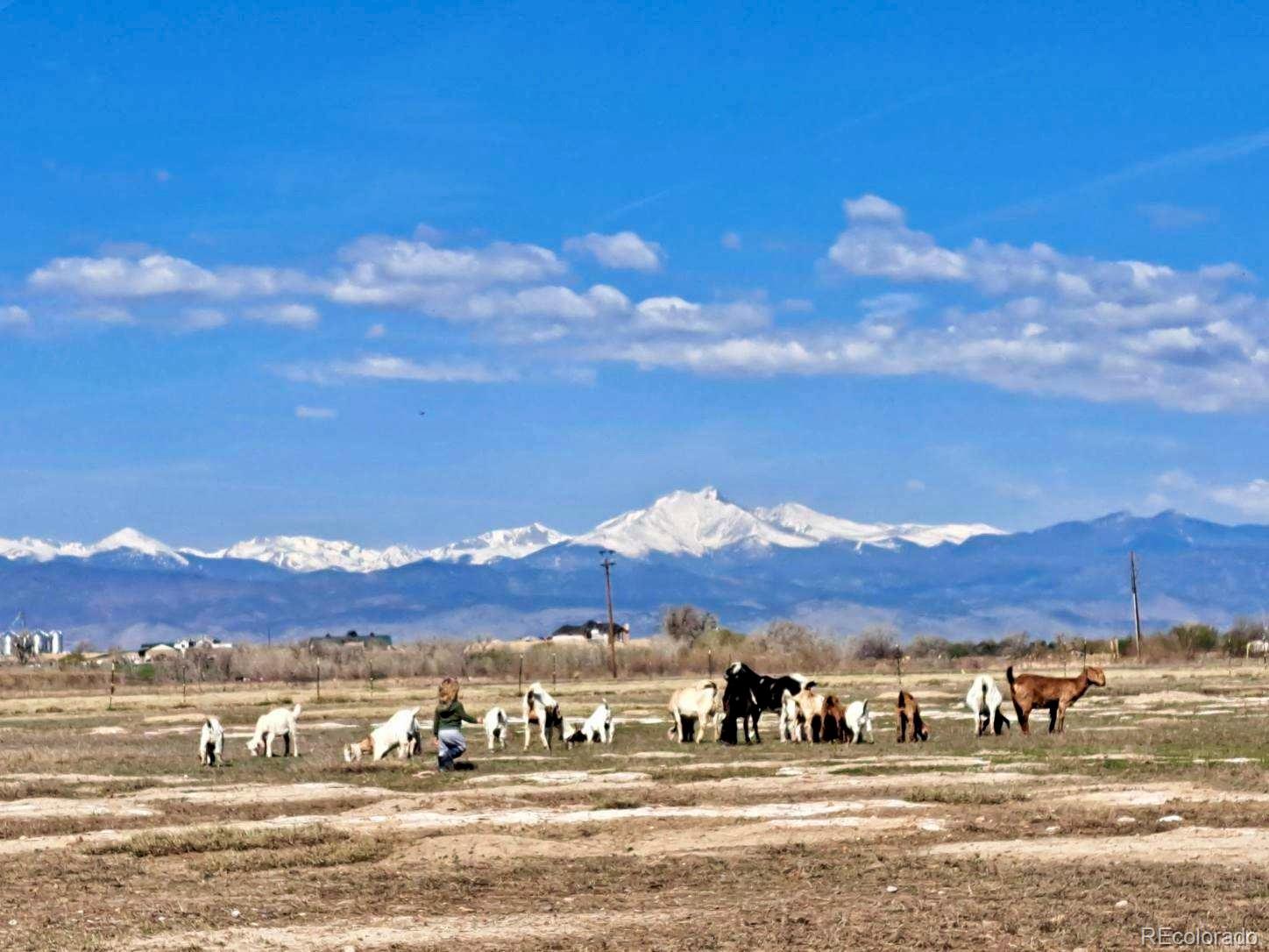 2832 County Road 20 Longmont CO 80504