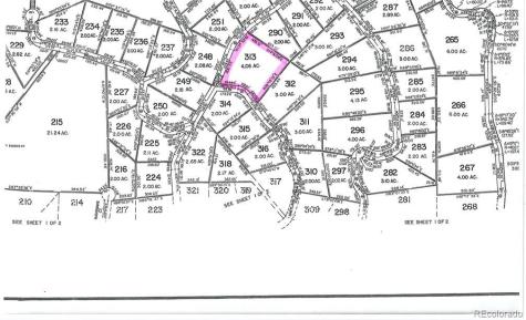 420 Shetland Circle Como CO 80432